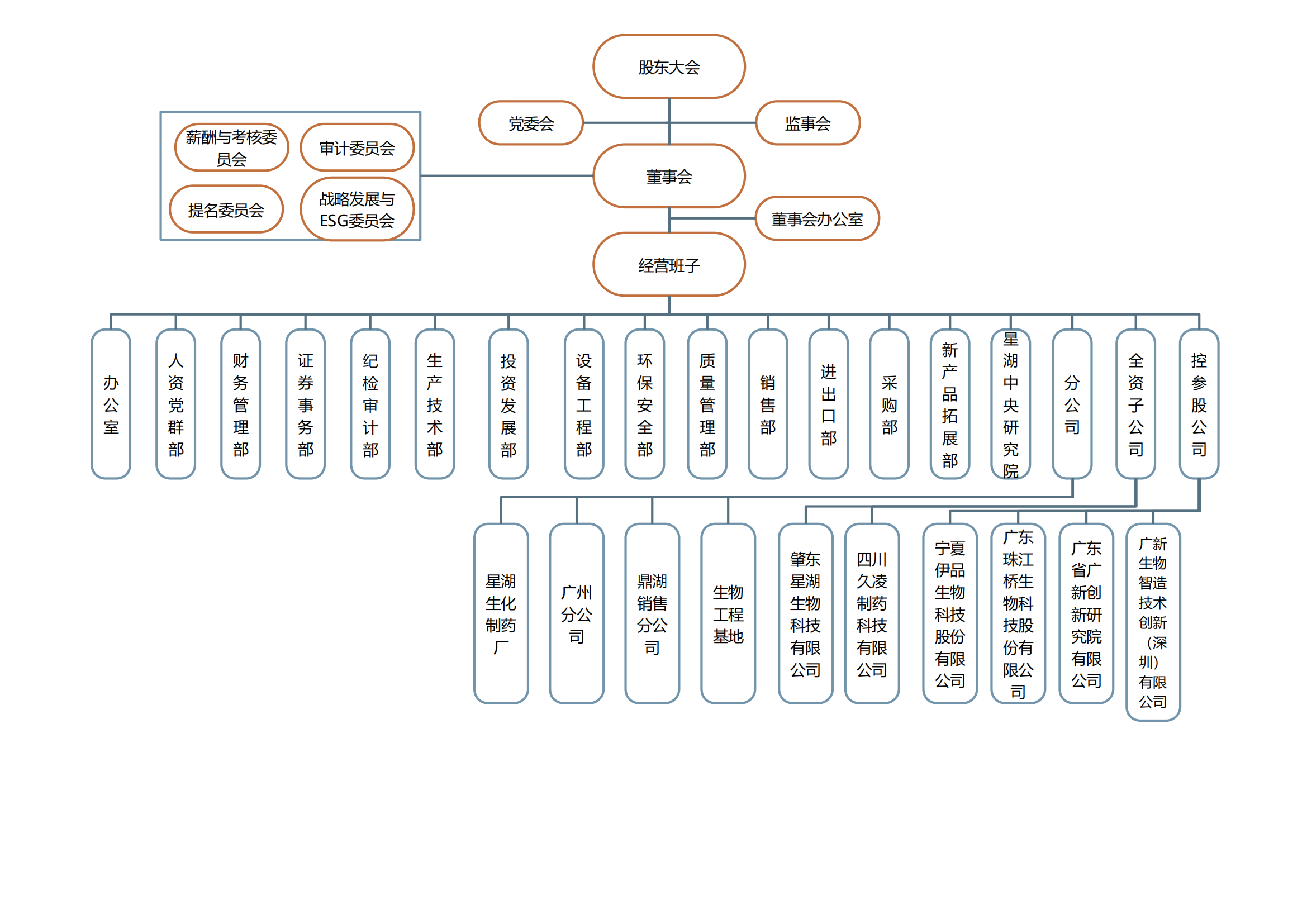 星湖科技組織架構(gòu)圖202404_00.png